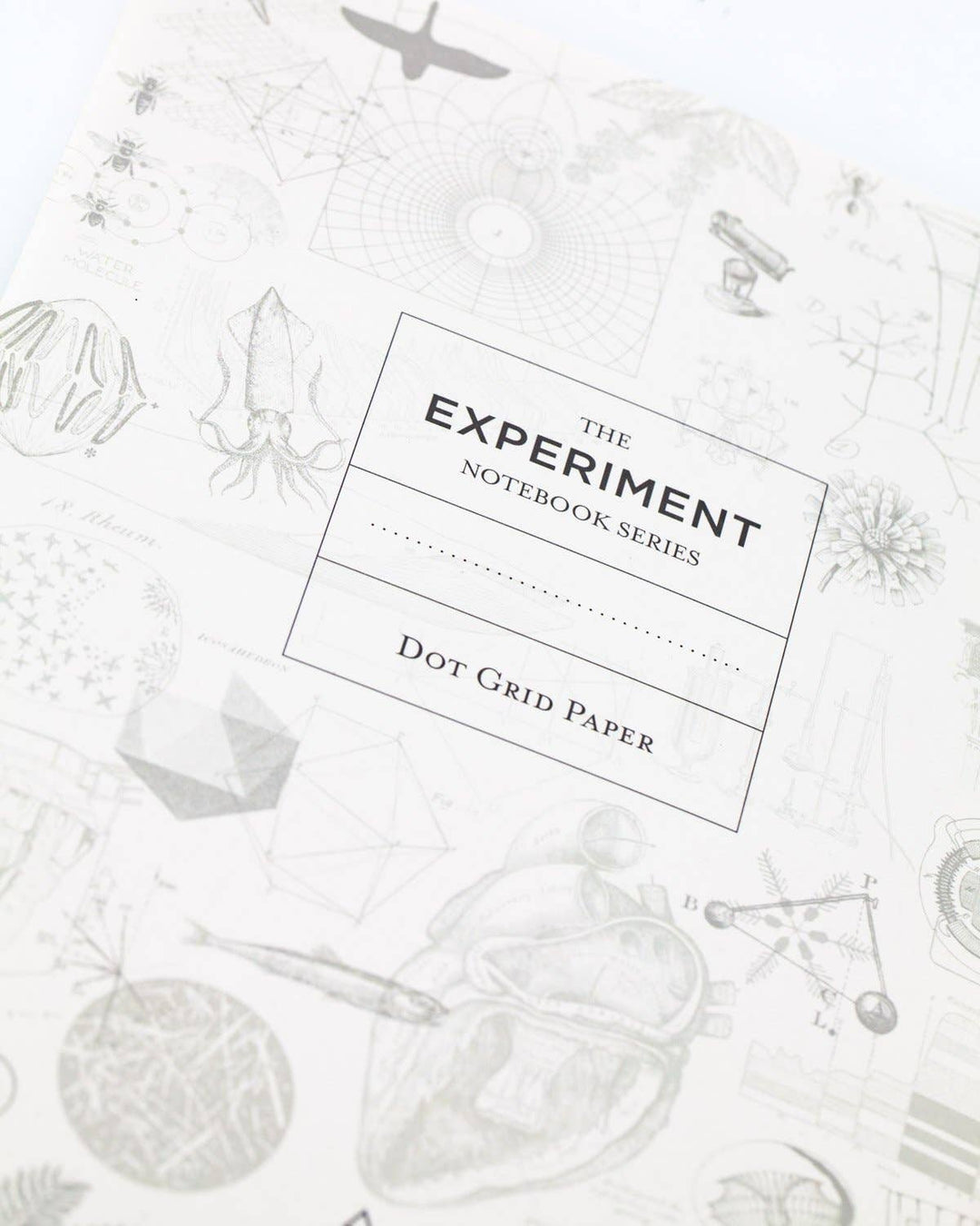 Fruits &amp; Vegetables Softcover - Dot Grid