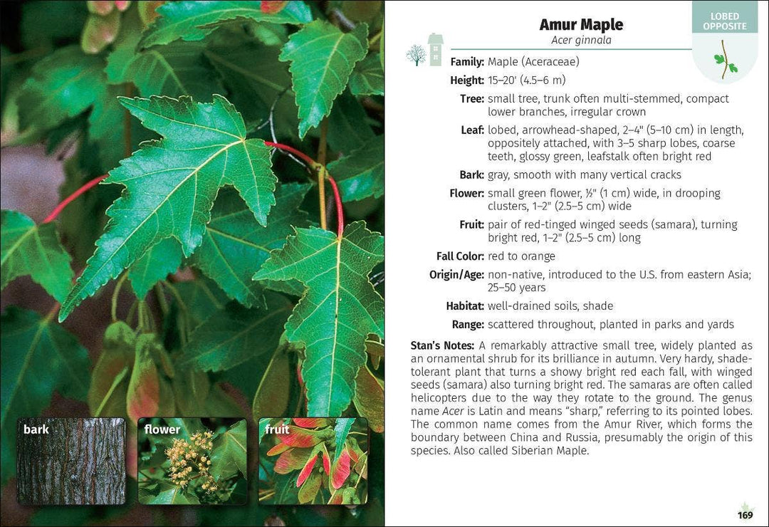 Trees of Pennsylvania Field Guide 2e