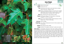 Load image into Gallery viewer, Trees of Pennsylvania Field Guide 2e

