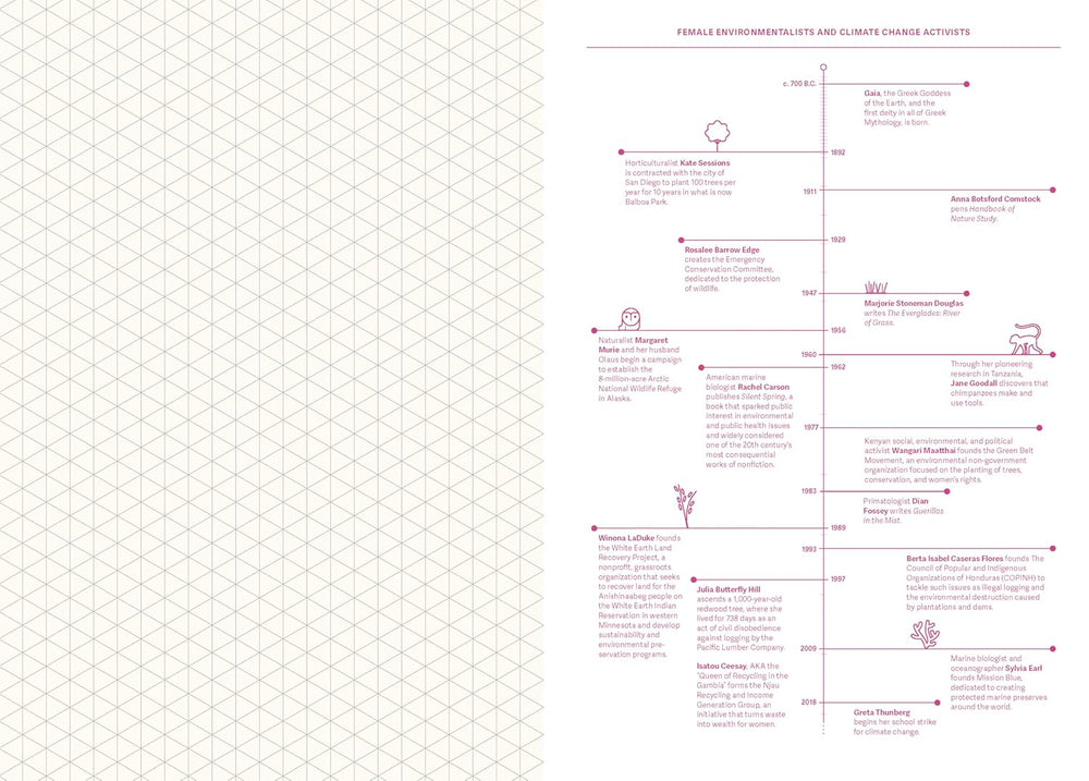 Grids & Guides (Pink): A Notebook for Visual Thinkers