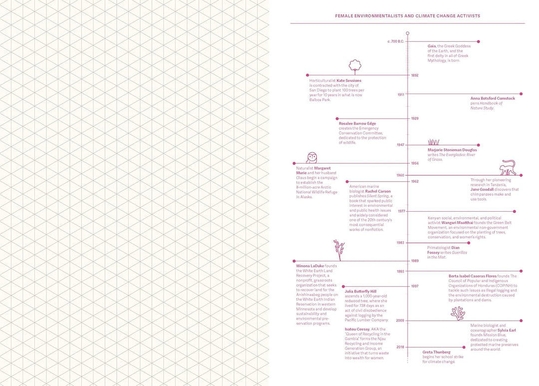 Grids &amp; Guides (Pink): A Notebook for Visual Thinkers
