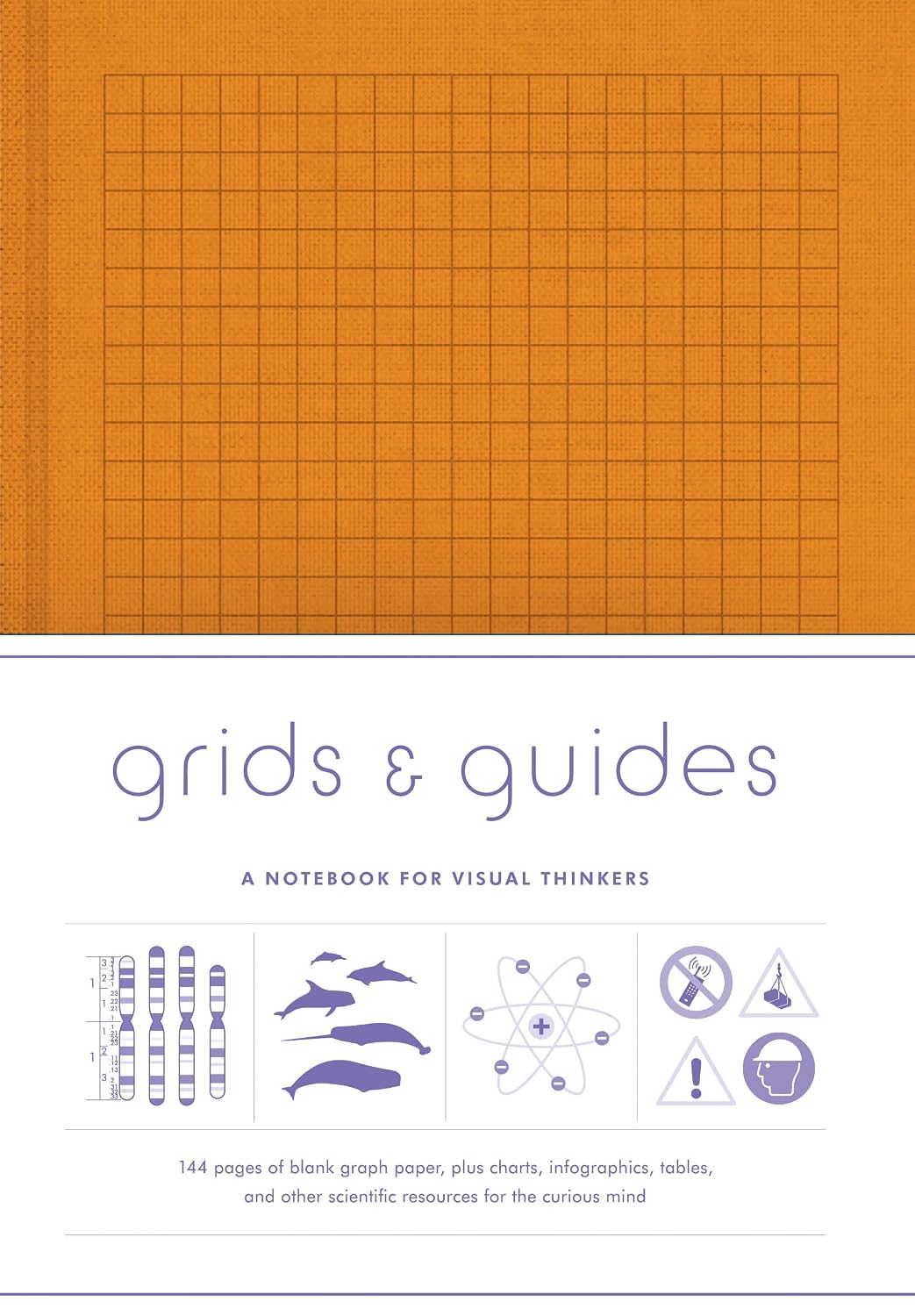 Grids &amp; Guides (Orange) Notebook: A Notebook for Visual Thinkers