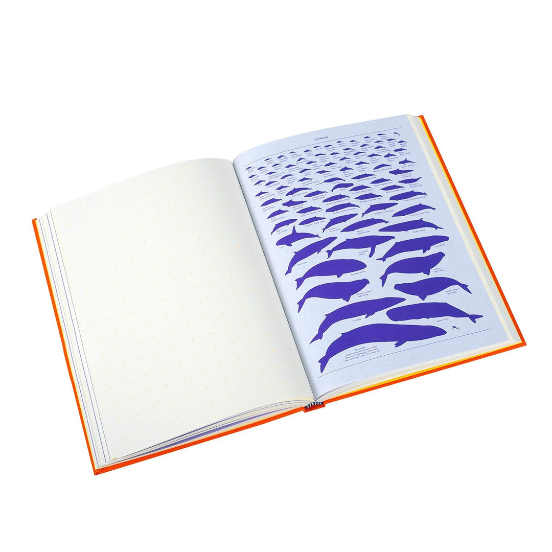 Grids &amp; Guides (Orange) Notebook: A Notebook for Visual Thinkers