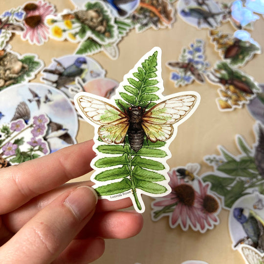 Cicada on Fern - Vinyl Sticker -