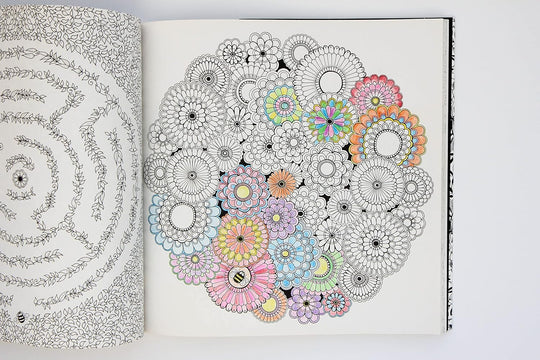 Secret Garden: An Inky Treasure Hunt and Coloring Book