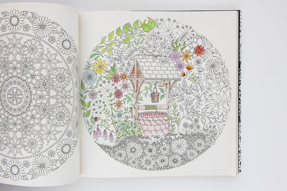 Secret Garden: An Inky Treasure Hunt and Coloring Book