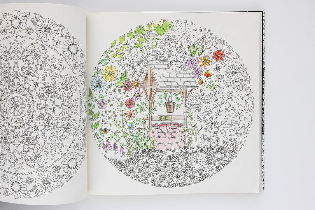 Secret Garden: An Inky Treasure Hunt and Coloring Book