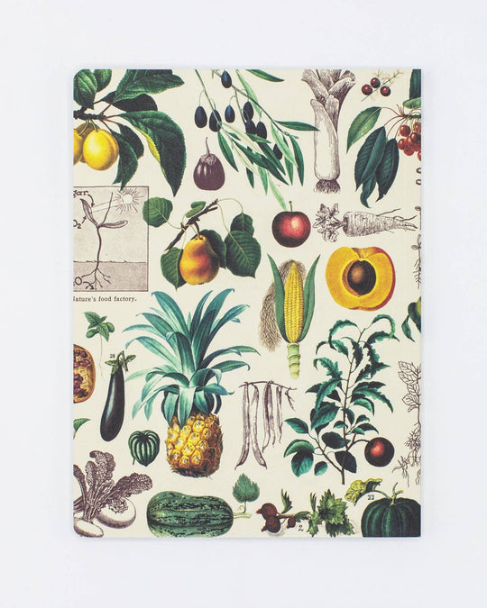 Fruits &amp; Vegetables Softcover - Dot Grid