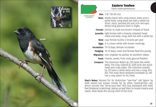Birds of Pennsylvania Field Guide 3e