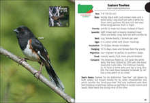 Load image into Gallery viewer, Birds of Pennsylvania Field Guide 3e
