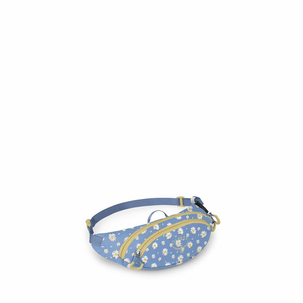 Daylite Waist Mini Pack