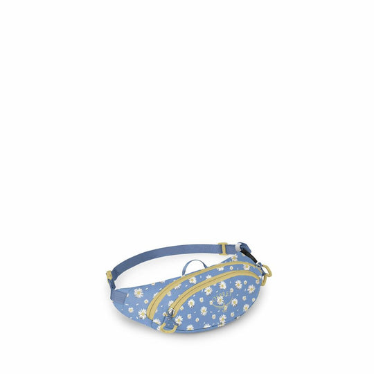 Daylite Waist Mini Pack