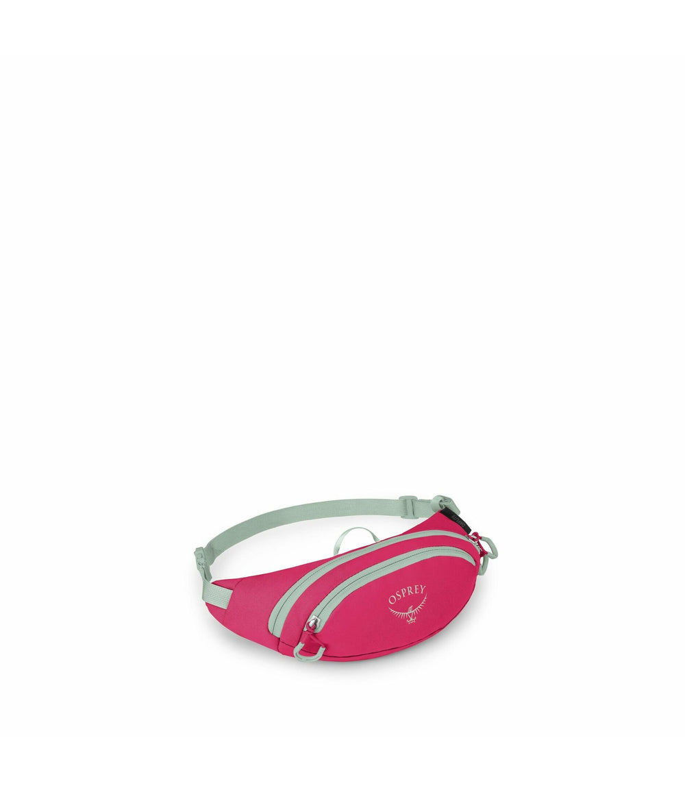 Daylite Waist Mini Pack