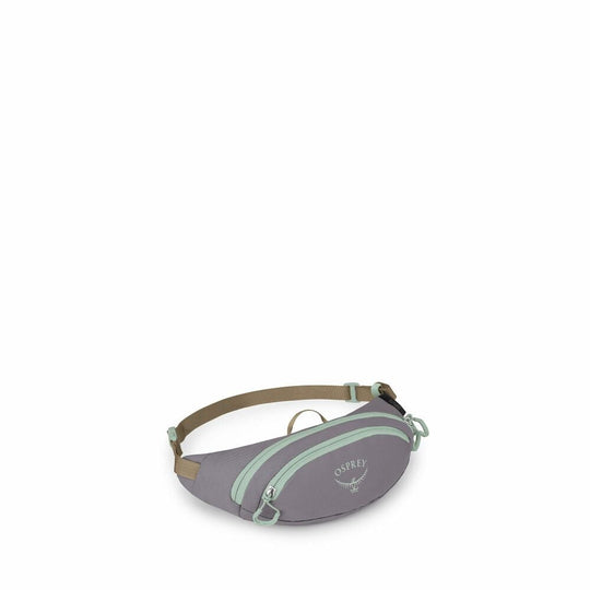 Daylite Waist Mini Pack