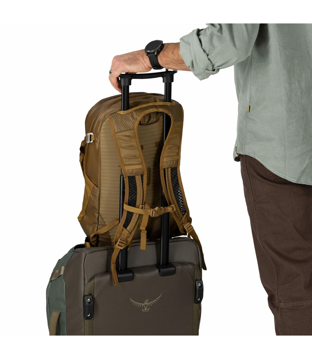 Daylite™ Plus Daypack Limited Edition