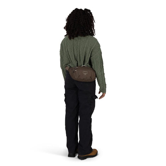 Daylite™ Waist Pack Driftshade