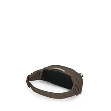 Load image into Gallery viewer, Daylite™ Waist Pack Driftshade
