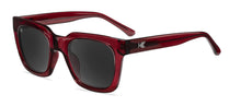 Load image into Gallery viewer, Songbirds Polarized Sunglasses
