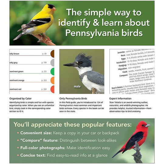 Birds of Pennsylvania Field Guide 3e