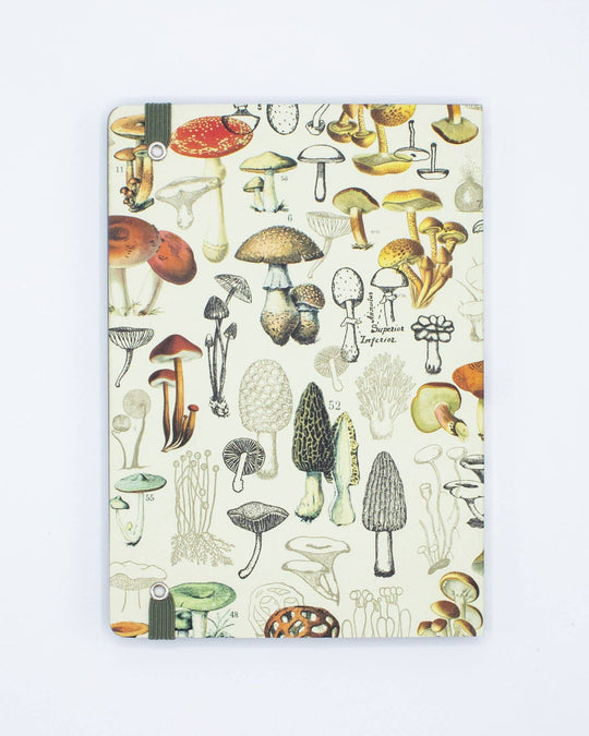 Woodland Mushrooms A5 Softcover (Case of 6)