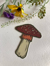 Load image into Gallery viewer, Amanita Mushroom Sticker
