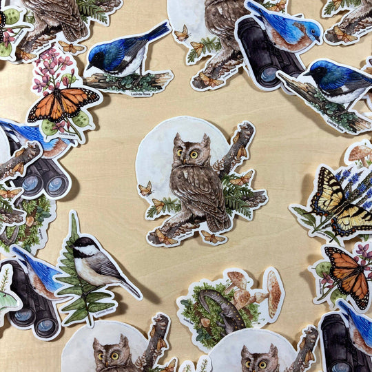Screech Owl With Moths - Vinyl Sticker -