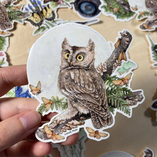 Screech Owl With Moths - Vinyl Sticker -