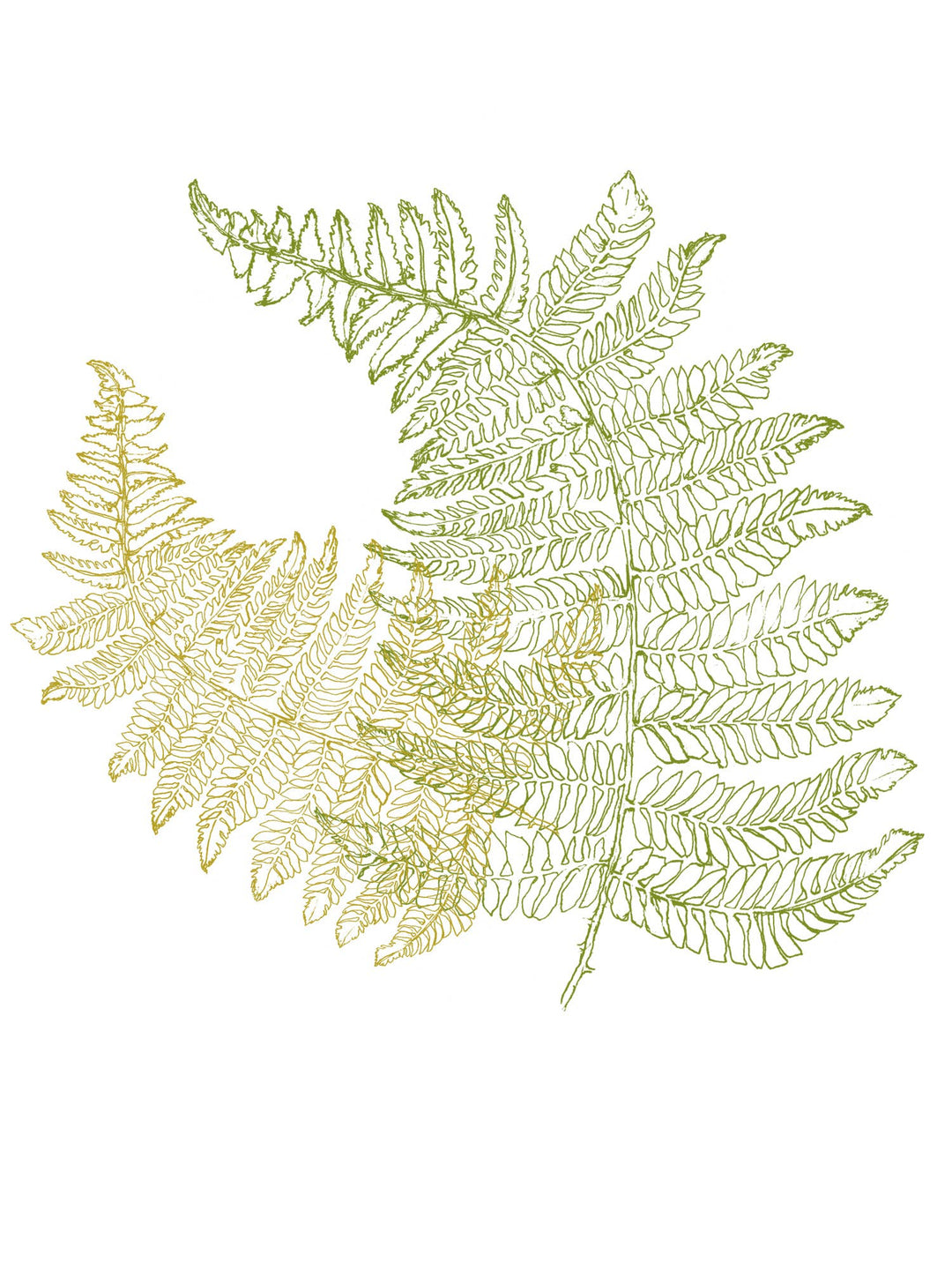 Ferns Lauren Heavyweight Long Sleeve Crop Tee