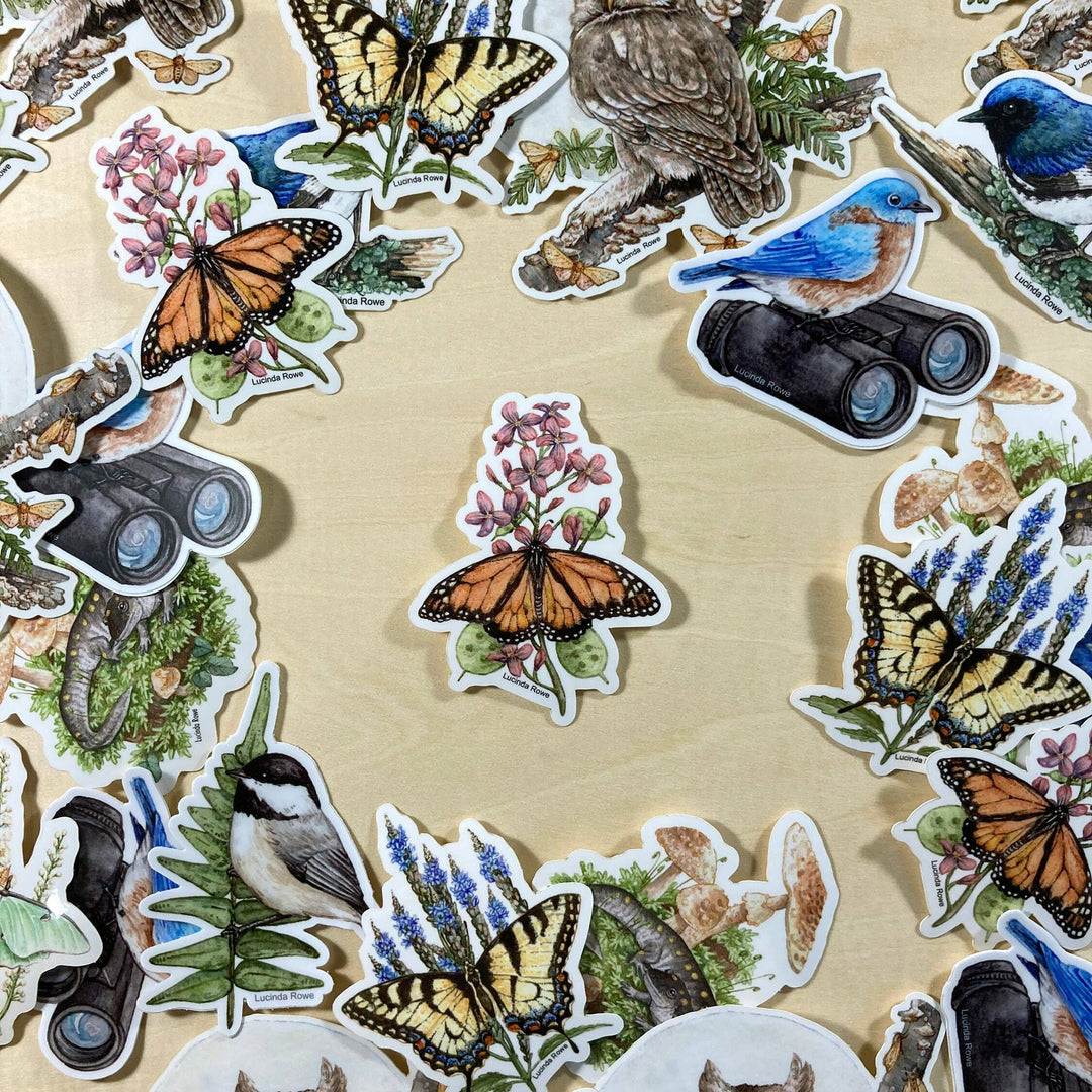 Vinyl Sticker - Monarch Butterfly On Honesty