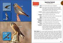 Load image into Gallery viewer, Birds of Pennsylvania Field Guide 3e
