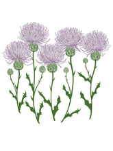 Load image into Gallery viewer, Thistles Gwenn Heavyweight Tee
