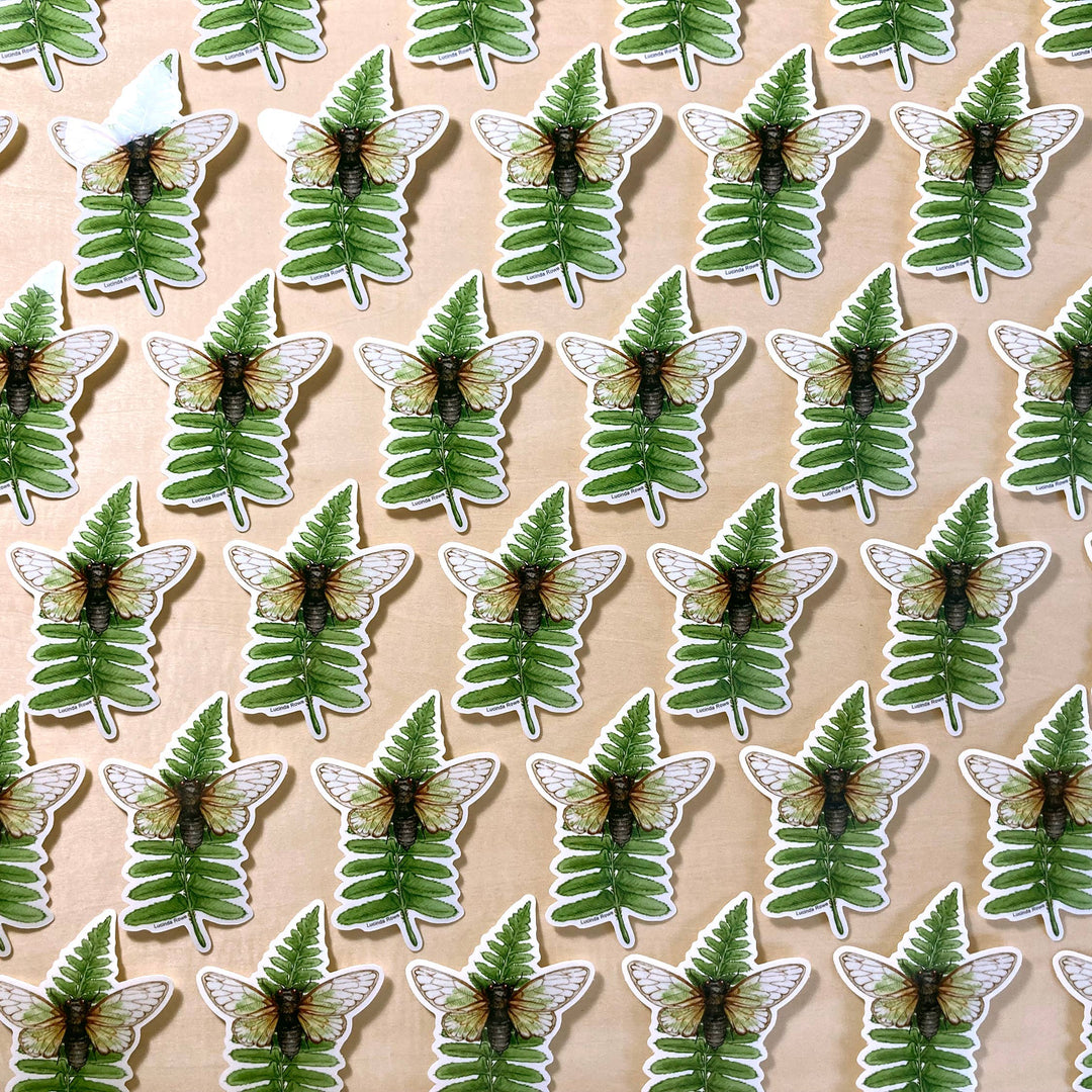 Cicada on Fern - Vinyl Sticker -