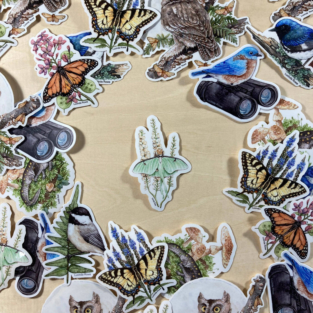 Vinyl Sticker - Luna Moth On Black Cohosh