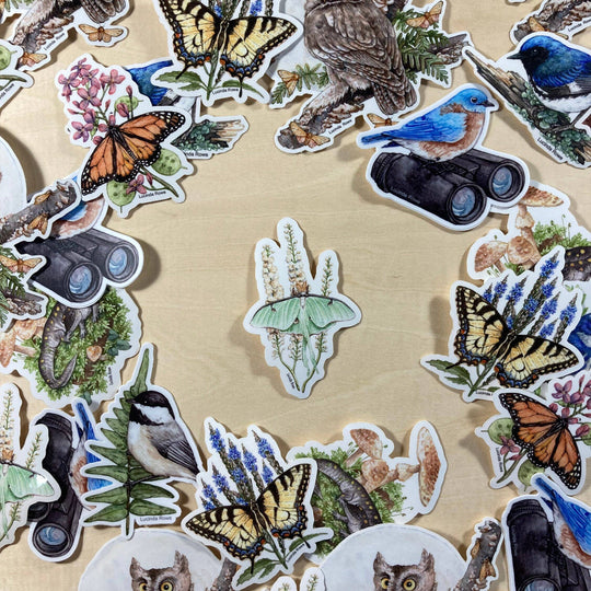 Vinyl Sticker - Luna Moth On Black Cohosh