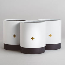 Load image into Gallery viewer, Wander - Premium Soy Candle

