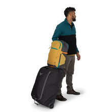 Load image into Gallery viewer, Daylite Travel Pack 35

