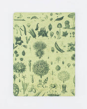 Load image into Gallery viewer, Plants &amp; Fungi Softcover Notebook - Dot Grid
