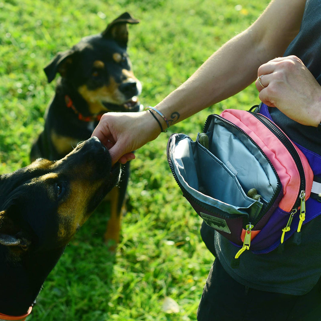 Fruit Burst Rover Hip Pack 2.0
