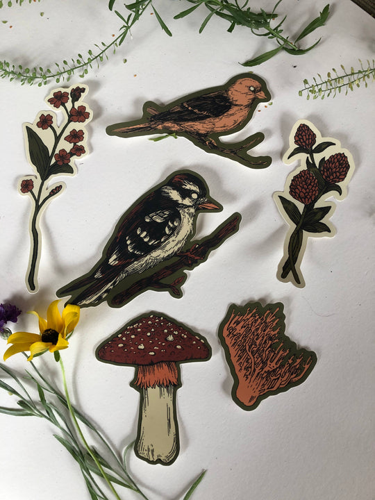 Amanita Mushroom Sticker