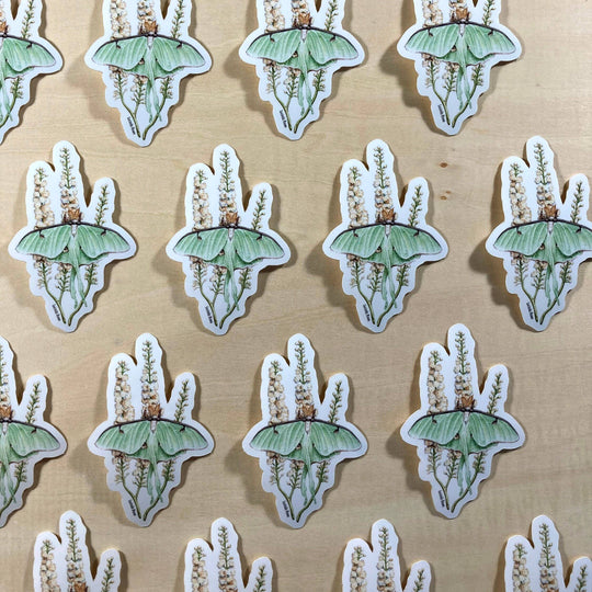 Vinyl Sticker - Luna Moth On Black Cohosh