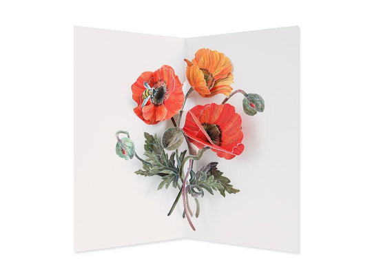 Poppies