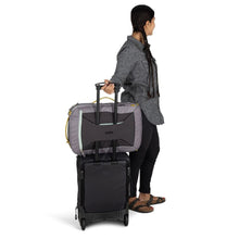 Load image into Gallery viewer, Transporter™ Travel Pack 36

