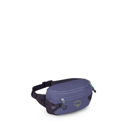 Transporter™ Waist Pack