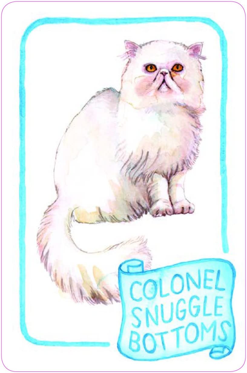 Cat Lady Old Maid