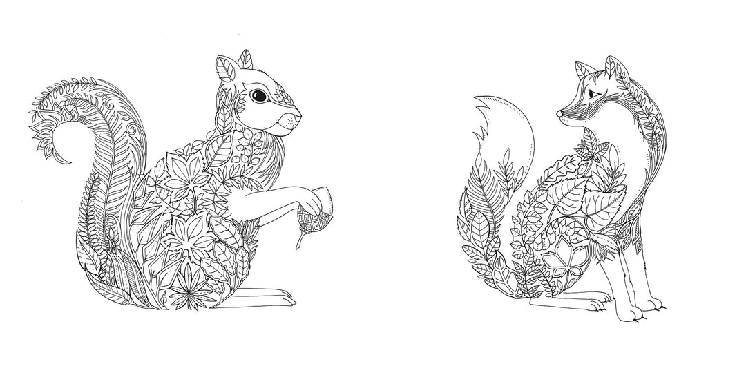 Enchanted Forest Coloring Book