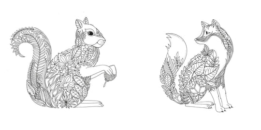 Enchanted Forest Coloring Book